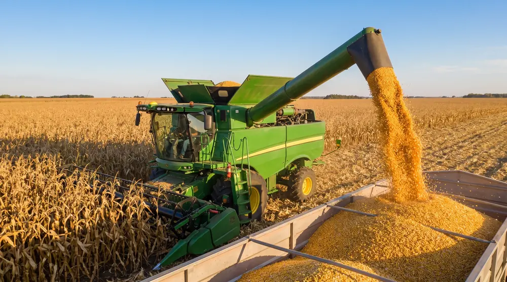 Colheita de milho com máquinas agrícolas: gestão patrimonial rural