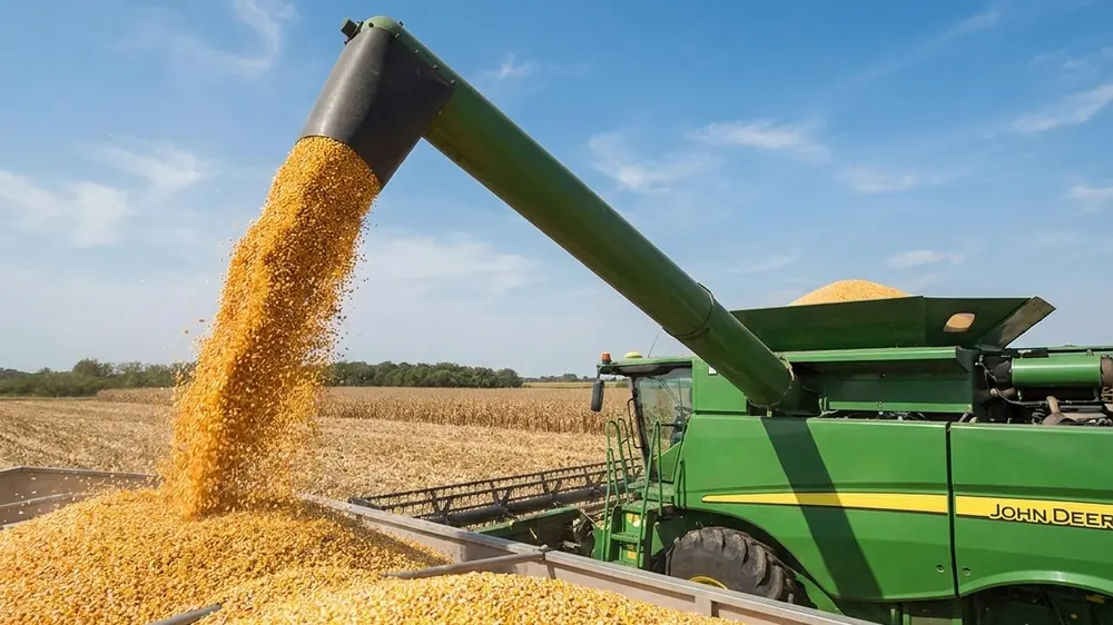 Colheitadeira em operação durante a safra, com acompanhamento da consultoria agronômica